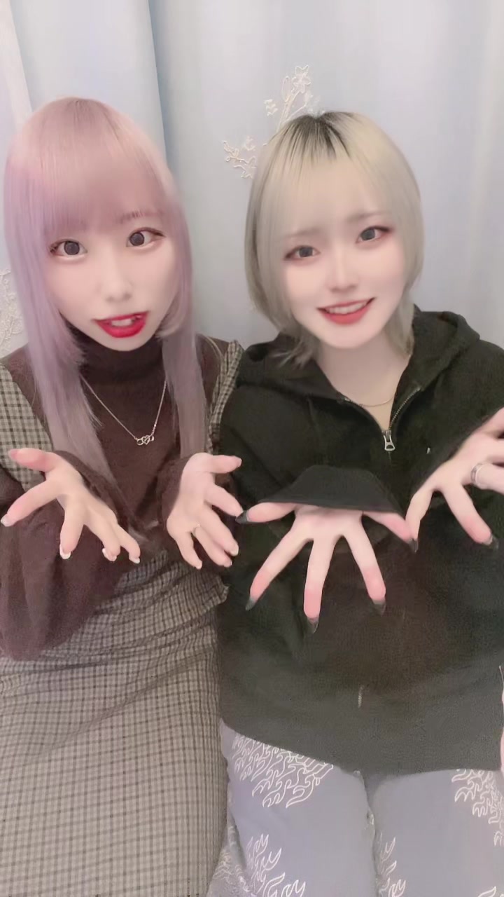 マシュメロ ホットニュース 53919