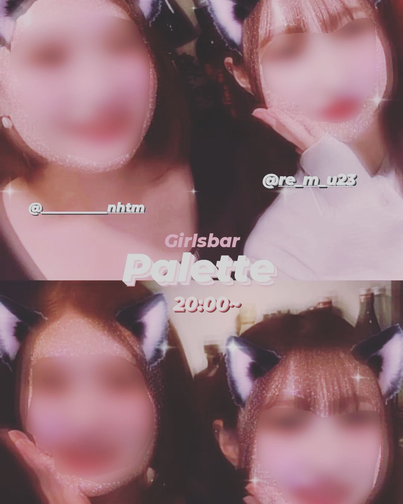 Palette ホットニュース 54344