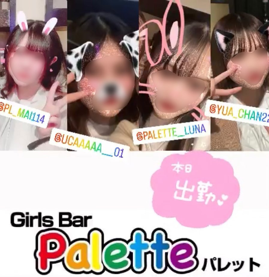 Palette ホットニュース 54492