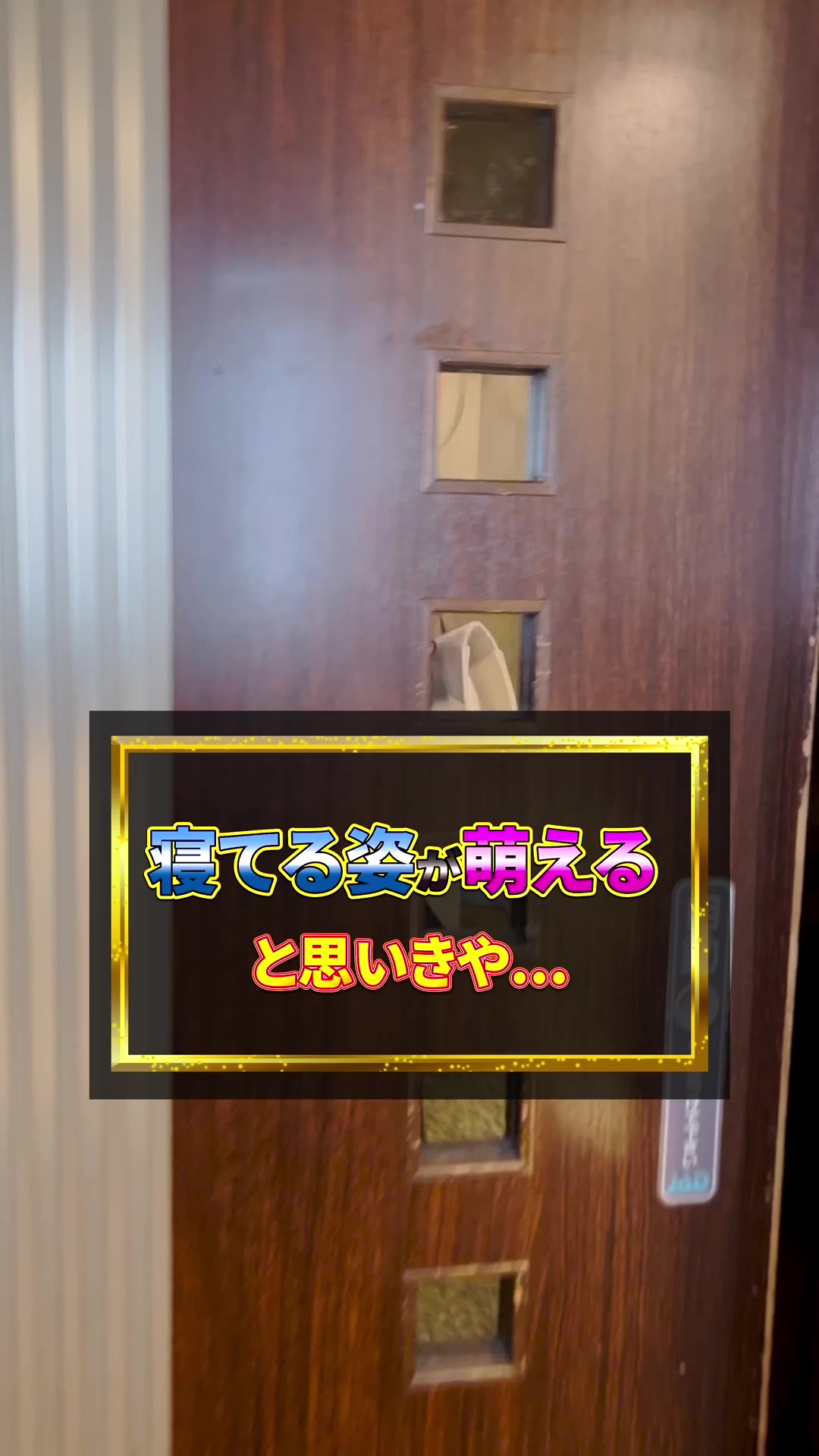 蘭◯ ホットニュース 54698