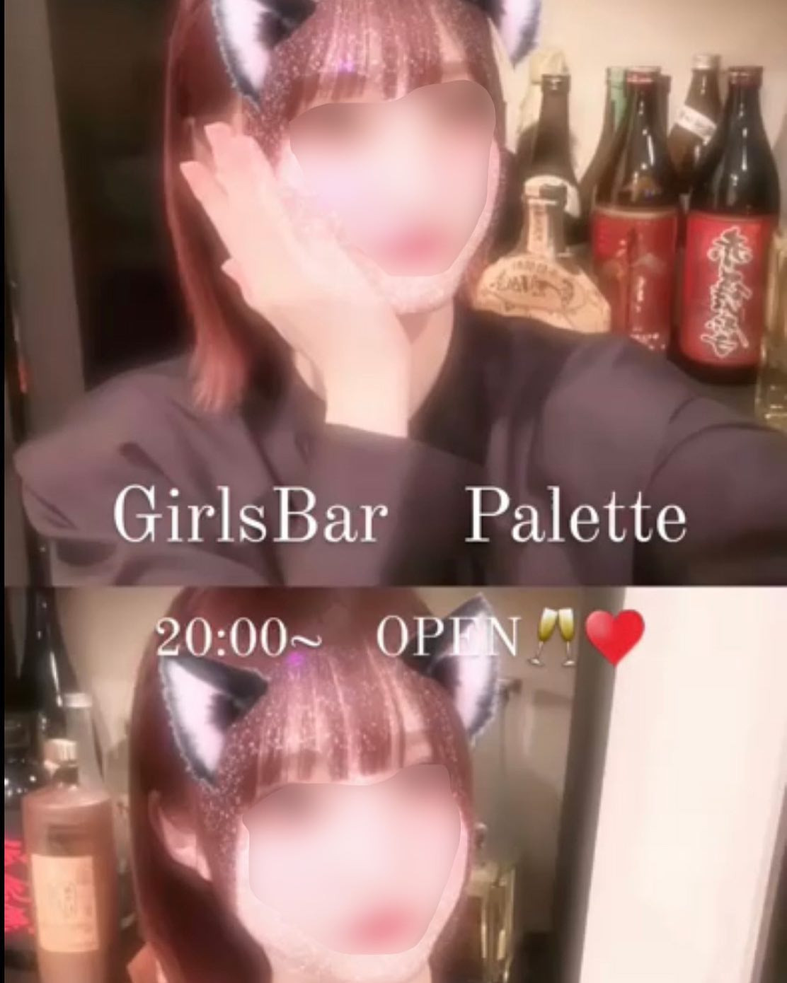 Palette ホットニュース 54935