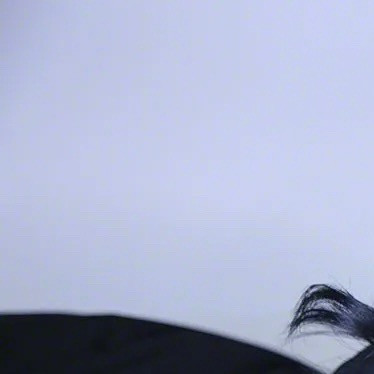 こんにちは☺️🙏

CLUB AOIでは皆様の夜を
素敵な時間にすること間違いなしです‪🫶🏻

本日のpick upは“渚”さんです✨
@v_mnwww 

是非club AOIでお待ちしております♥️♥️♥️

club AOIではキャストさん、男子従業員を募集中です✨
御興味がありましたらお気軽にDMまたはお電話で宜しくお願い致します！

ご連絡お待ちしております🙇‍♂️
TEL 03-6233-7061

#新宿 #歌舞伎町 #キャバクラ #キャバキャバ #一条葵 #CLUBAOI #like4li