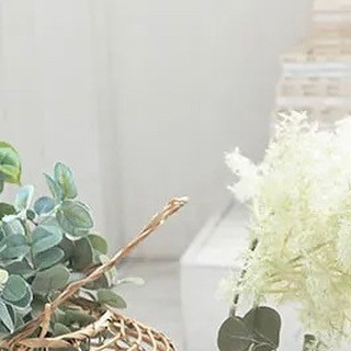 こんにちは☺️🙏

CLUB AOIでは皆様の夜を
素敵な時間にすること間違いなしです‪🫶🏻

本日のpick upは“姫月なな”さんです✨
@kaguya._.nana 

是非club AOIでお待ちしております♥️♥️♥️

club AOIではキャストさん、男子従業員を募集中です✨
御興味がありましたらお気軽にDMまたはお電話で宜しくお願い致します！

ご連絡お待ちしております🙇‍♂️
TEL 03-6233-7061

#新宿 #歌舞伎町 #キャバクラ #キャバキャバ #一条葵 #CLUBAOI