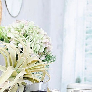 こんにちは☺️🙏

CLUB AOIでは皆様の夜を
素敵な時間にすること間違いなしです‪🫶🏻

本日のpick upは“姫月なな”さんです✨
@kaguya._.nana 

是非club AOIでお待ちしております♥️♥️♥️

club AOIではキャストさん、男子従業員を募集中です✨
御興味がありましたらお気軽にDMまたはお電話で宜しくお願い致します！

ご連絡お待ちしております🙇‍♂️
TEL 03-6233-7061

#新宿 #歌舞伎町 #キャバクラ #キャバキャバ #一条葵 #CLUBAOI