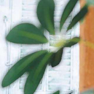 こんにちは☺️🙏

CLUB AOIでは皆様の夜を
素敵な時間にすること間違いなしです‪🫶🏻

本日のpick upは“姫月なな”さんです✨
@kaguya._.nana 

是非club AOIでお待ちしております♥️♥️♥️

club AOIではキャストさん、男子従業員を募集中です✨
御興味がありましたらお気軽にDMまたはお電話で宜しくお願い致します！

ご連絡お待ちしております🙇‍♂️
TEL 03-6233-7061

#新宿 #歌舞伎町 #キャバクラ #キャバキャバ #一条葵 #CLUBAOI