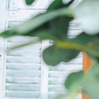 こんにちは☺️🙏

CLUB AOIでは皆様の夜を
素敵な時間にすること間違いなしです‪🫶🏻

本日のpick upは“姫月なな”さんです✨
@kaguya._.nana 

是非club AOIでお待ちしております♥️♥️♥️

club AOIではキャストさん、男子従業員を募集中です✨
御興味がありましたらお気軽にDMまたはお電話で宜しくお願い致します！

ご連絡お待ちしております🙇‍♂️
TEL 03-6233-7061

#新宿 #歌舞伎町 #キャバクラ #キャバキャバ #一条葵 #CLUBAOI