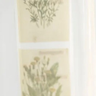 こんにちは☺️🙏

CLUB AOIでは皆様の夜を
素敵な時間にすること間違いなしです‪🫶🏻

本日のpick upは“姫月なな”さんです✨
@kaguya._.nana 

是非club AOIでお待ちしております♥️♥️♥️

club AOIではキャストさん、男子従業員を募集中です✨
御興味がありましたらお気軽にDMまたはお電話で宜しくお願い致します！

ご連絡お待ちしております🙇‍♂️
TEL 03-6233-7061

#新宿 #歌舞伎町 #キャバクラ #キャバキャバ #一条葵 #CLUBAOI