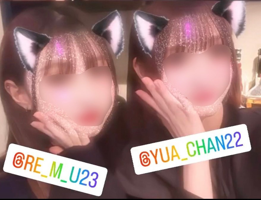 Palette ホットニュース 55297