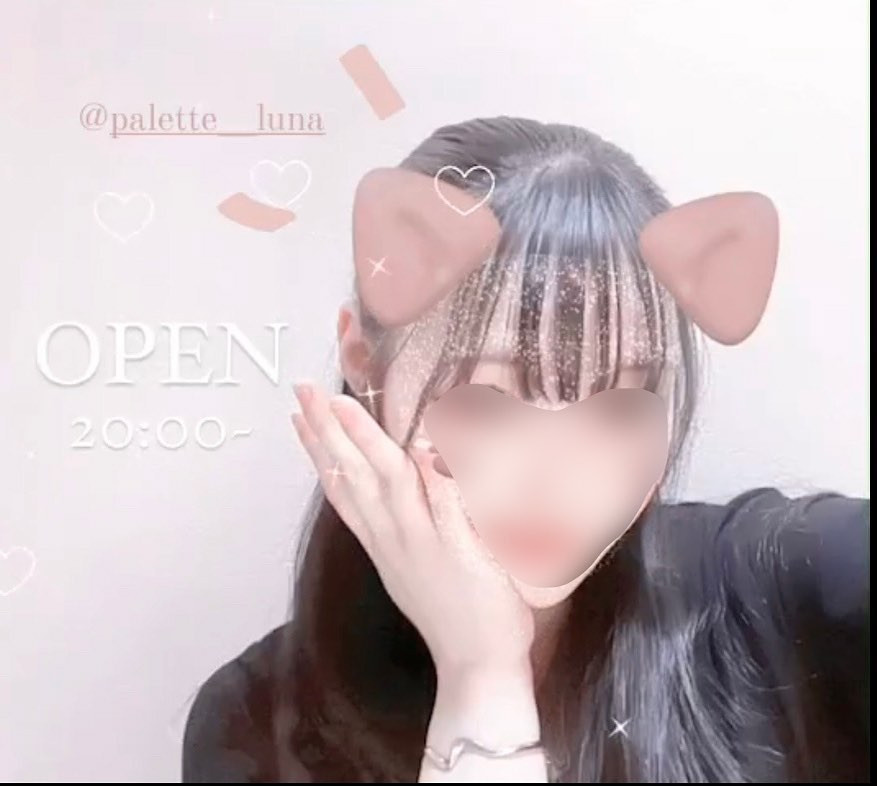 Palette ホットニュース 55512