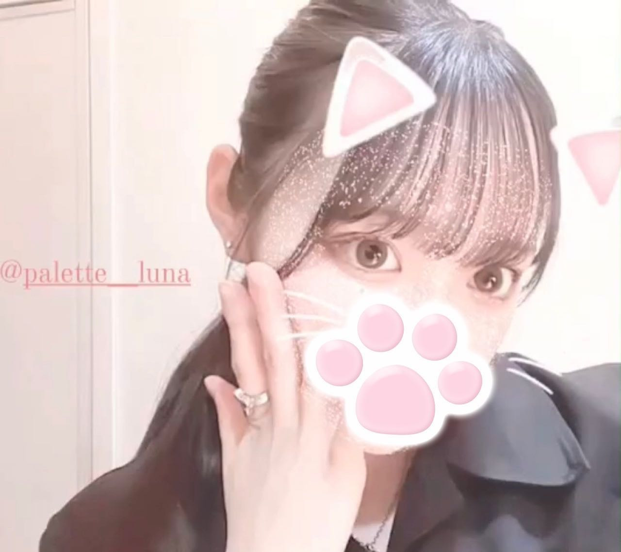 Palette ホットニュース 55571