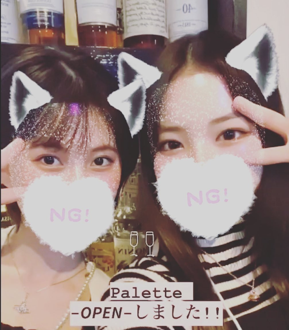 Palette ホットニュース 55704