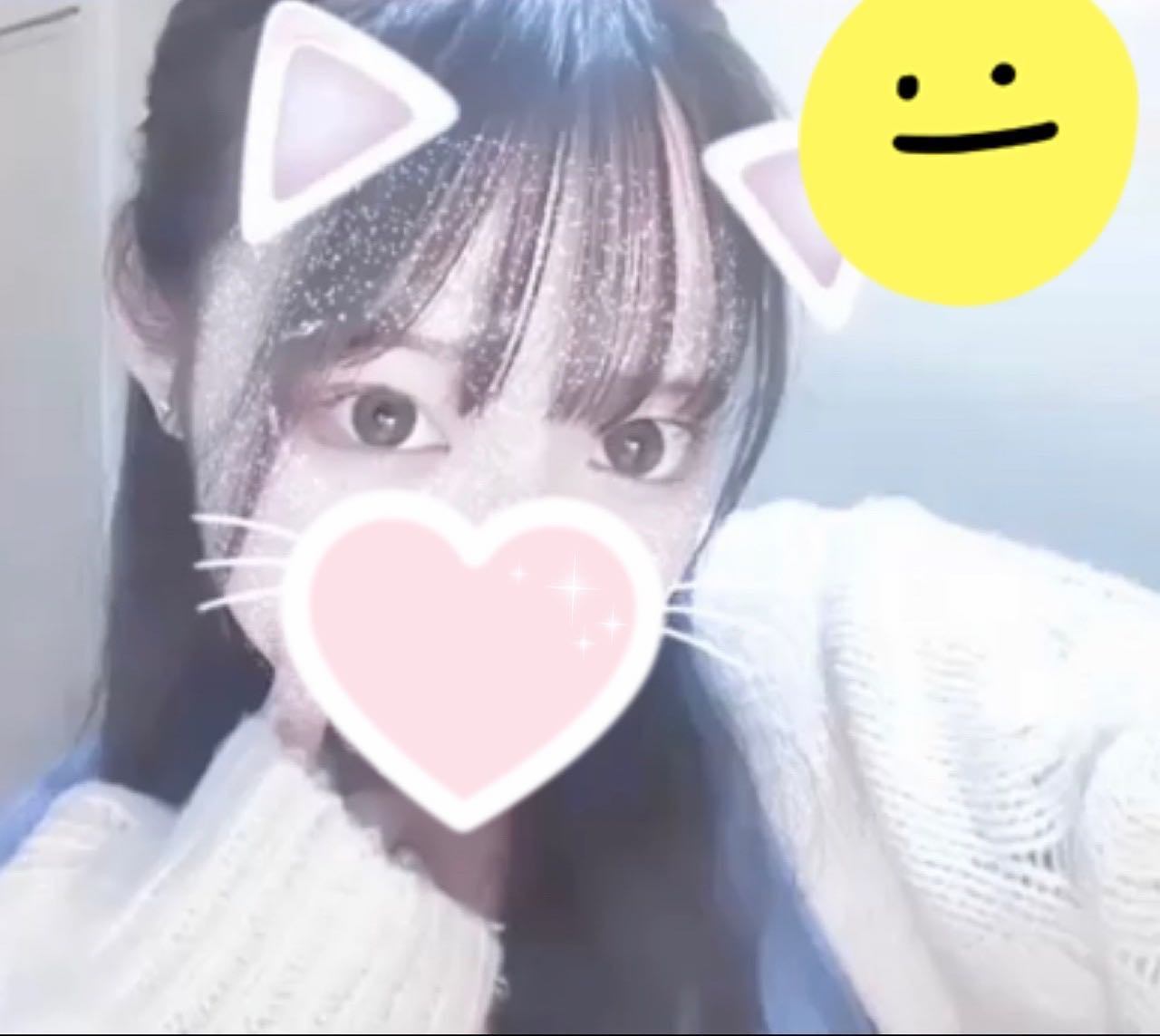 Palette ホットニュース 56396