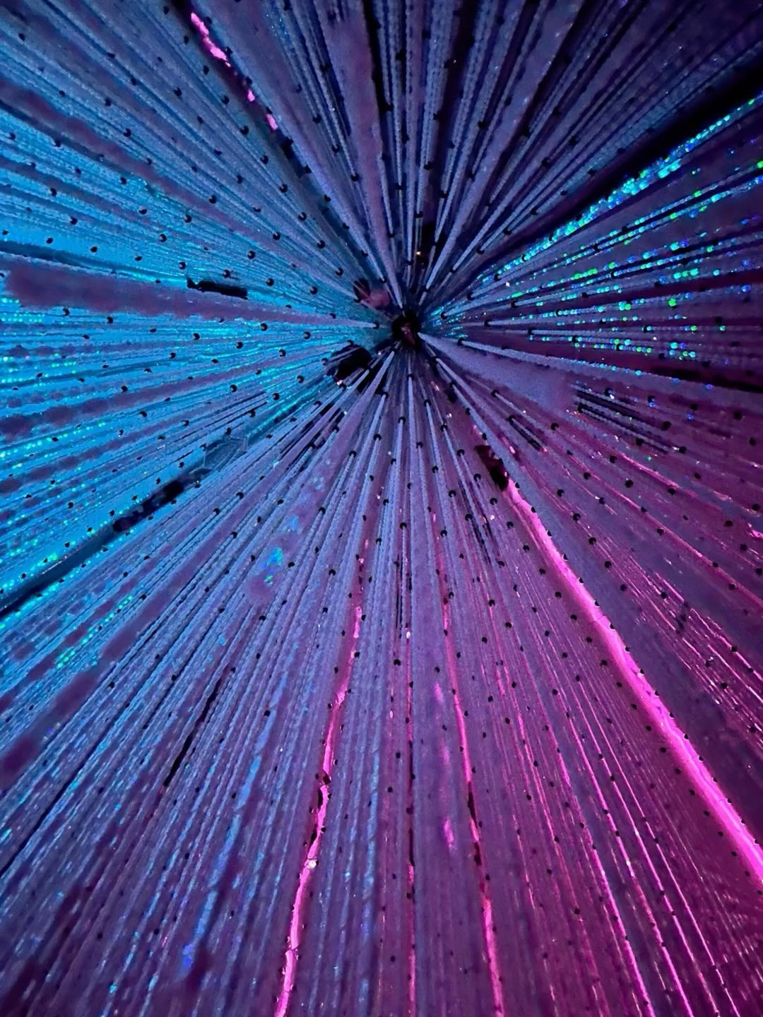 チームラボに行ってきたよ🩷
驚きの空間がたくさん🤭✨️
楽しいし感動するし
素敵な空間を共有したい人と
ぜひ行ってみてね☺️🩷

#チームラボ 
#デートスポット 
#東京観光 
#東京旅行 
#teamlab 
#teamlabplanets 
#チームラボプラネッツ 
#豊洲
#PR