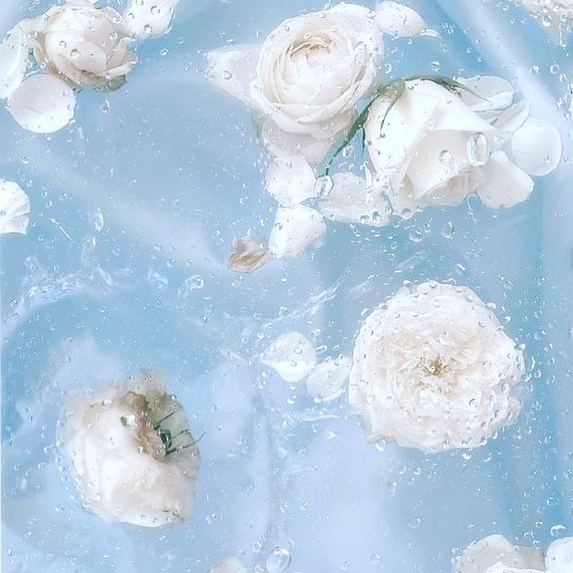  Instagramで記事を開く華咲かの...