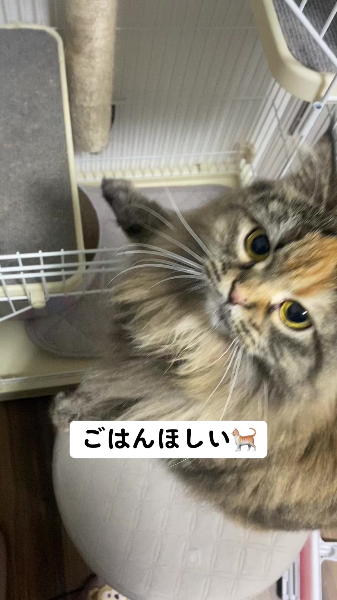 -日記907670