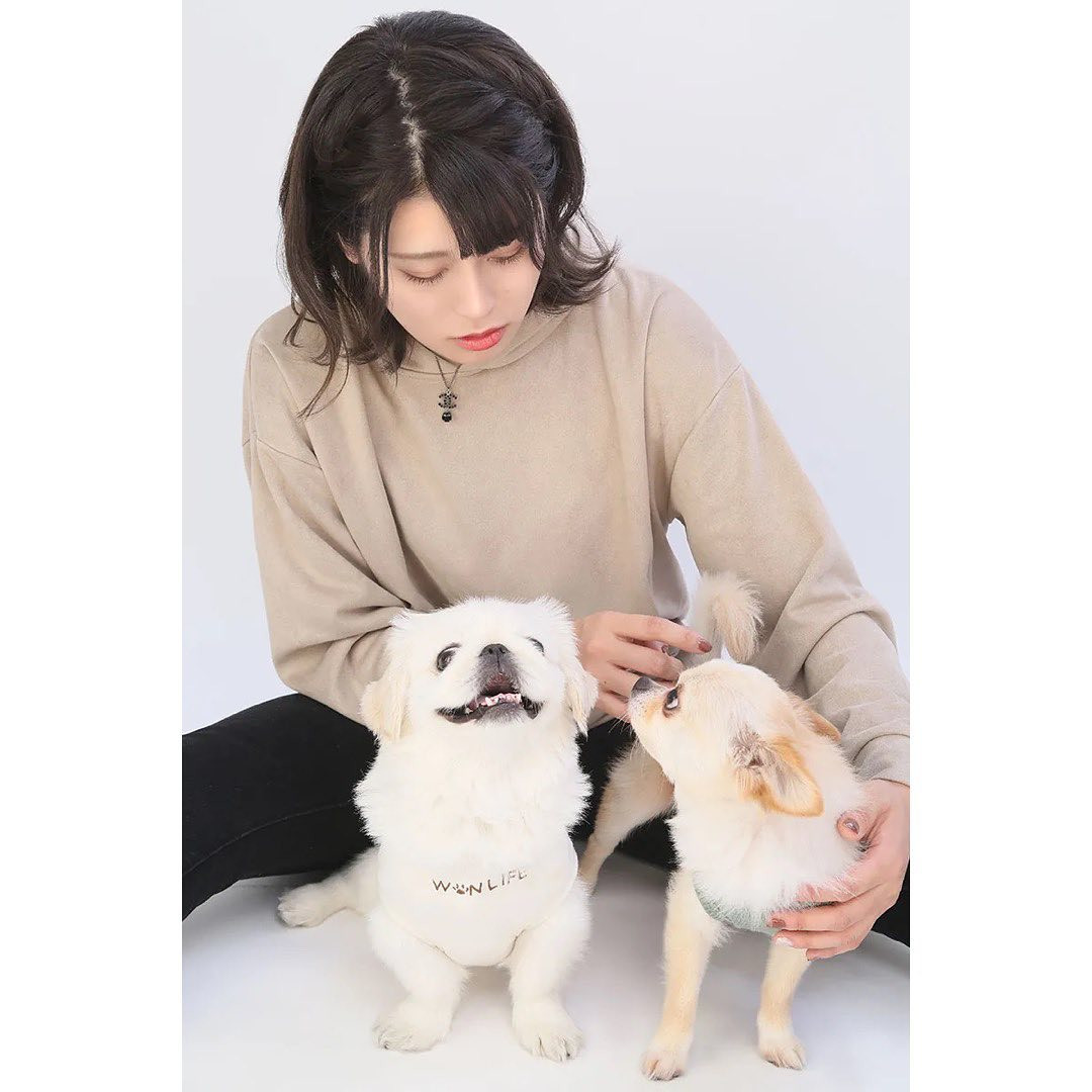 ①､②枚目は名刺の宣材🩵🤍
③枚目はただの家族写真🫶🏻
はなちゃんずっと笑顔だった🐻‍❄️
こたろはすーぐキャバ嬢さんの所へ
ホイホイしてた( ߹ᯅ߹)笑

#撮影
#名刺撮影
#ガールズバー
#歌舞伎町ガールズバー 
#ロングコートチワワ
#ペキニーズ
#家族写真