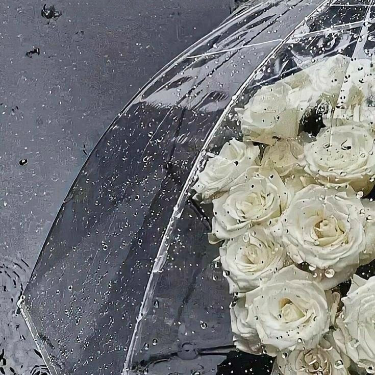  Instagramで記事を開く音ノ瀬 ...