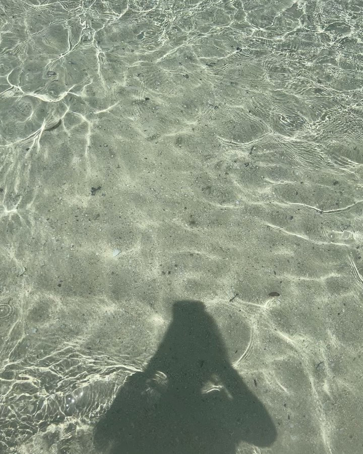 #竹富島 #石垣島 #石垣島旅行 
.
.
.
送っていただいた写真🌊✨
.
.
撮ってくれた社長に感謝👼
みんな写ってる写真の右端は芸人のすぎちゃん。笑
デニムで竹富島の海にいて、
今回の旅三度も会った🤣
.
.
.
.
.
.
.
.
.
.
.
#石垣島 
#竹富島観光 
#研修旅行 
#ショート女子 
#エクステ 
#新宿キャバクラ 
#キャバクラ 
#アネラ 
#グラビア 
#gravure 
#日本的 
#性感 
#浴衣 
#新宿キャバ嬢 
#歌舞伎町 
#新宿 #六本木 
#中州 
#すすき