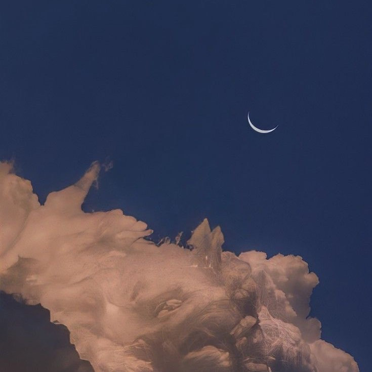  Instagramで記事を開く音ノ瀬 ...