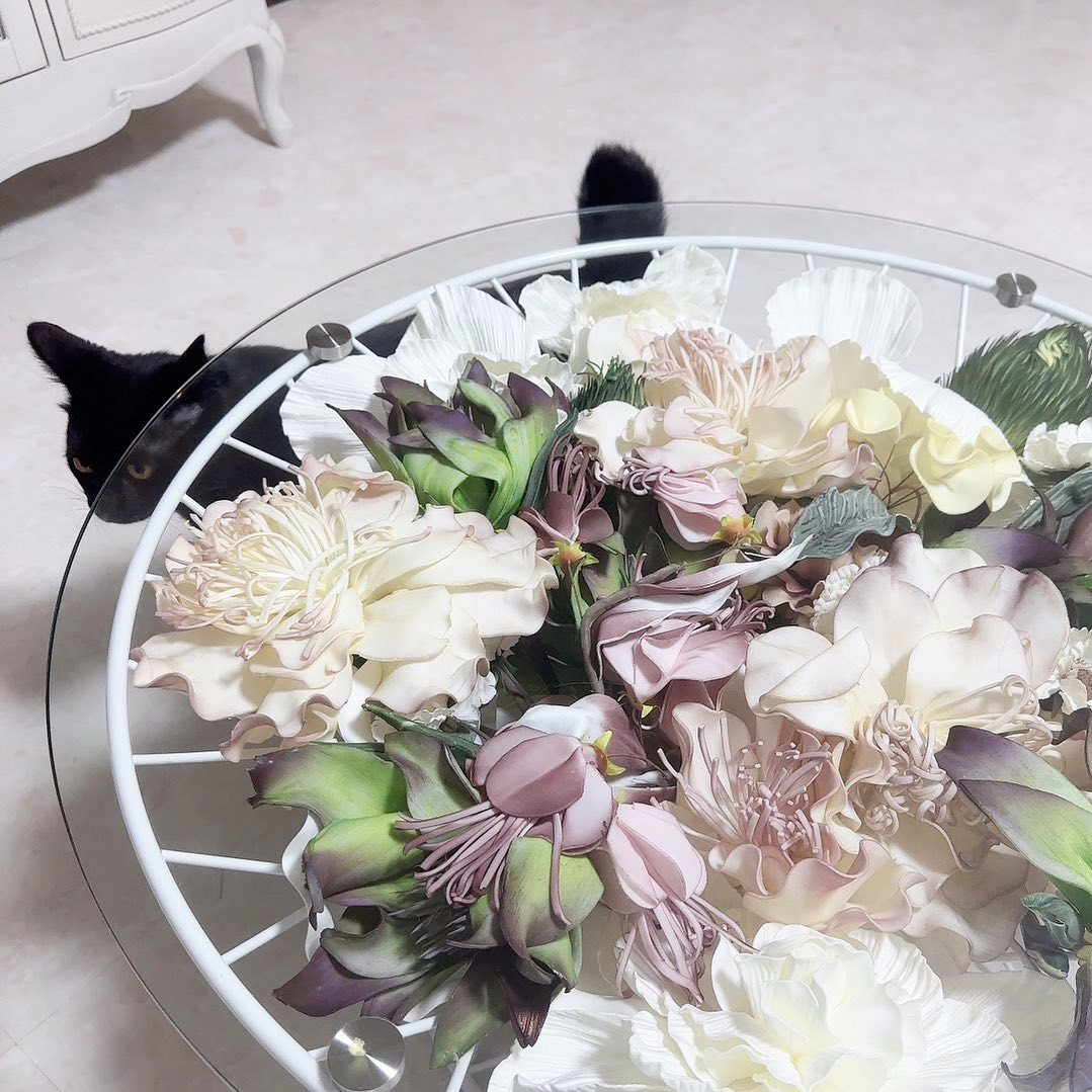 お花引っ張り出す犯人︎︎
@copin.schwarz