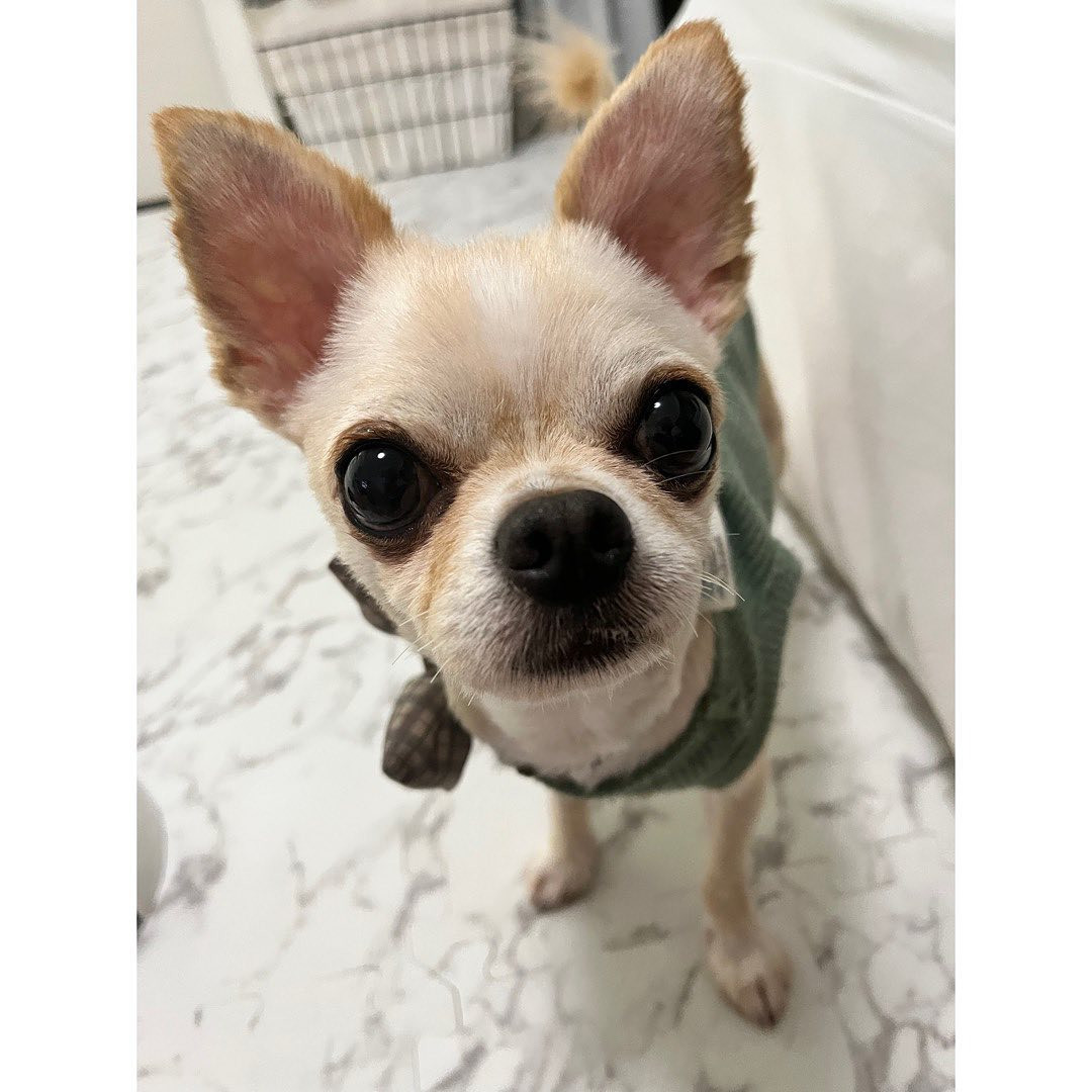 あざと男子こたろ