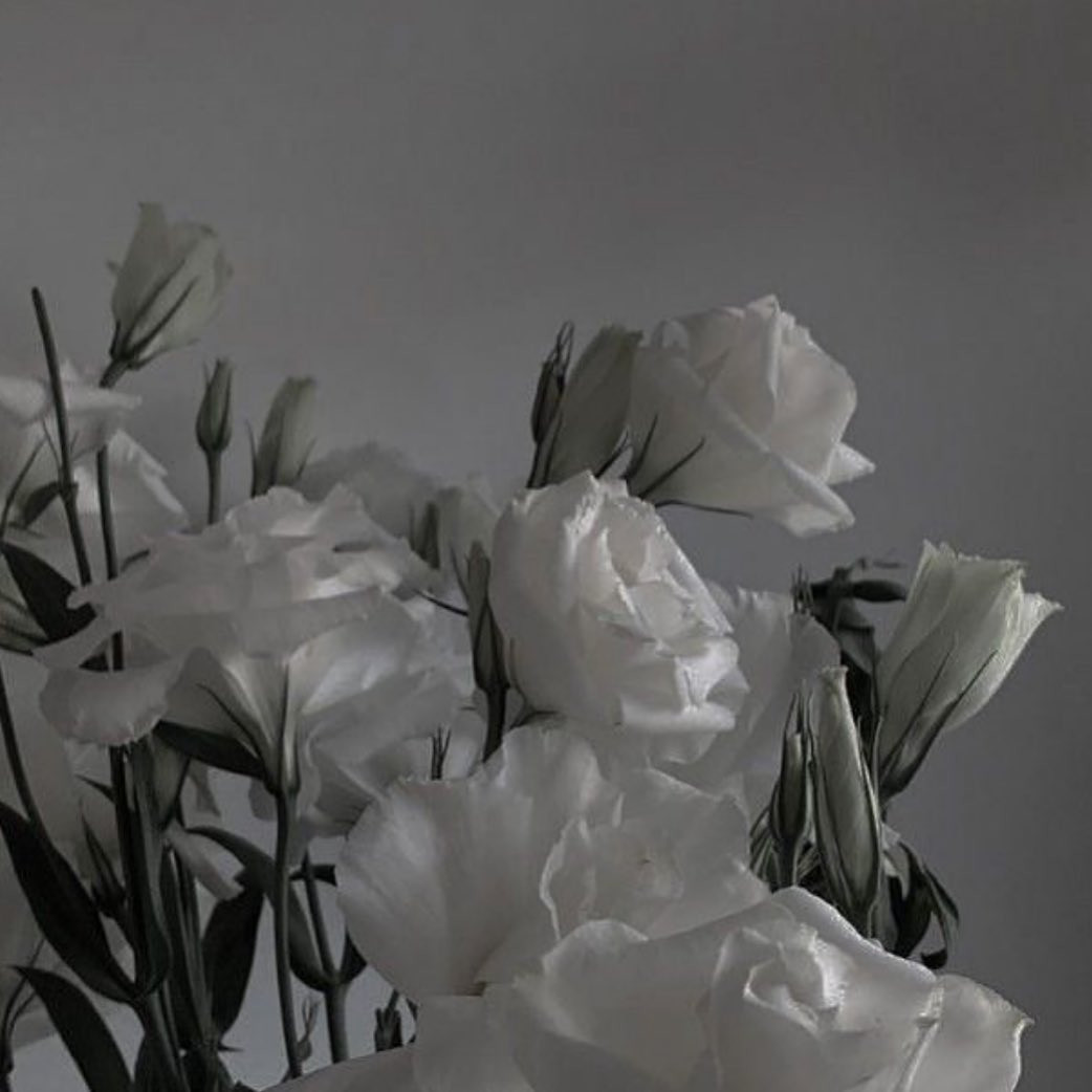  Instagramで記事を開く音ノ瀬 ...