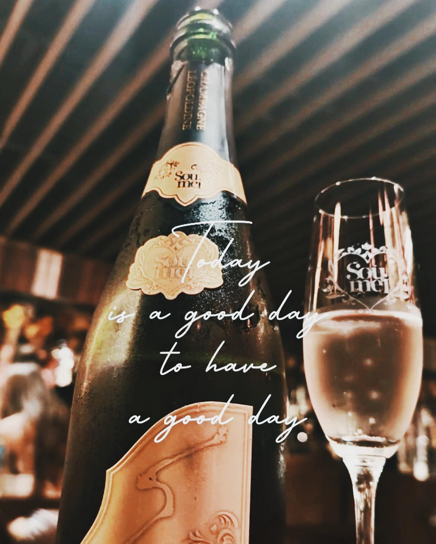 ・
峰 寿リ亜 ｰ 𝐉𝐮𝐥𝐢𝐚 𝐌𝐢𝐧𝐞🌹
・
𝗢𝗿𝗮𝗻𝗴𝗲 𝗧𝗲𝗿𝗿𝗮𝗰𝗲 - オレンジテラス🍊🧡
@orangeterrace.tokyo 
・
AREA: 歌舞伎町／新宿
TEL: 03-6233-8201
MAP: 〒160-0021 
  東京都新宿区歌舞伎町1-2-5
  東陽ビル B1F
TIME: 20:00〜LAST
・
 #キャバ嬢  #キャバクラ  #新宿  #歌舞伎町  #ホステス  #ギャル  #じゅりあ  #オレンジテラス  #六本木  #銀座  #クラブ  #渋谷  #ホスト