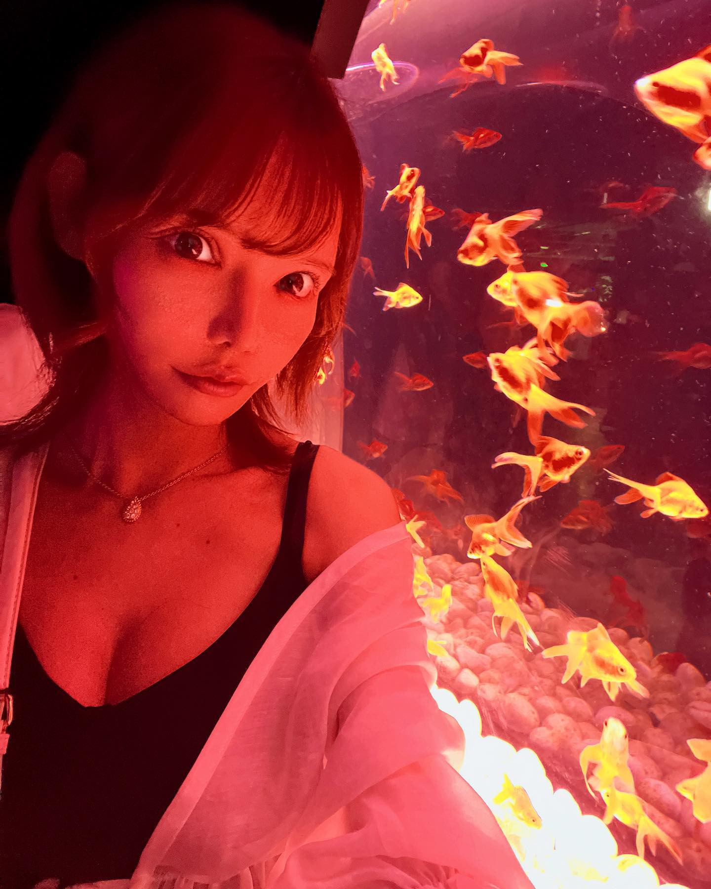 アートアクアリウムε( ε•o•)э 𓈒𓏸◌
#アートアクアリウム #アートアクアリウム展 #銀座 
.
.
.
毎年恒例のきんぎょちゃん🫶❤️
.
.
.
.
昔より規模は小さくなってたけど
やっぱりめちゃくちゃ綺麗だった..✨
.
.
.
.
.
.
.
.
.
#キャバクラ 
#きゃば嬢 
#新宿キャバクラ 
#売れっ子 
#アネラ 
#グラビア 
#gravure 
#日本的 
#性感 
#浴衣 
#新宿キャバ嬢 
#歌舞伎町 
#新宿 #六本木 
#中州