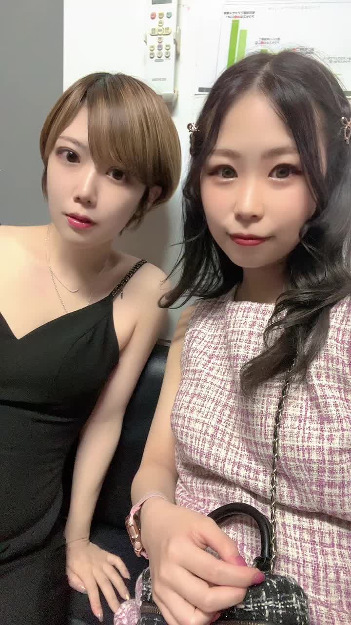 一条 葵