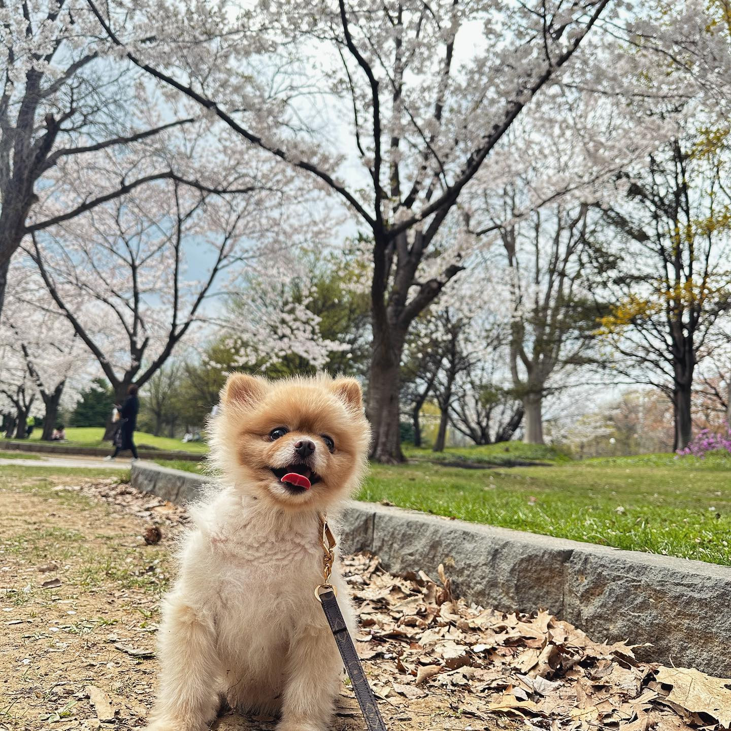 Girls public bar EMO日記939772