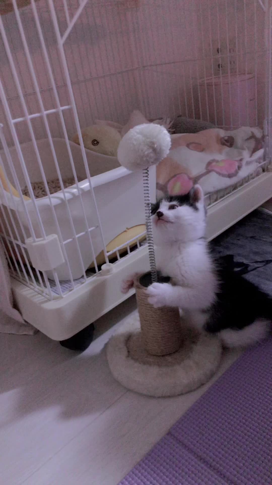 Club Lotta日記940535