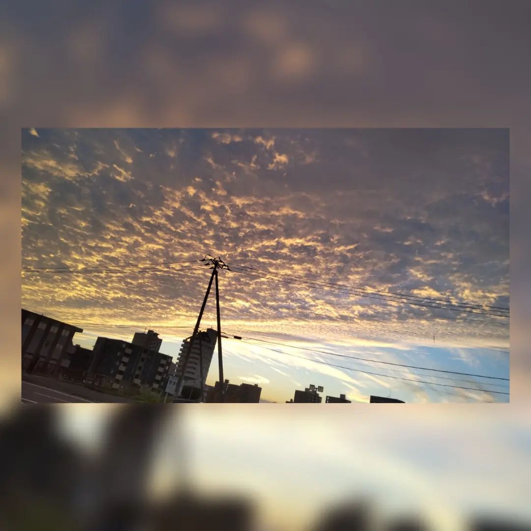 ⁡
⁡空がとても綺麗だった❤⁡
⁡
札幌ではお相撲さんて珍しいから撮ってもらった🤗
お相撲見に行きたいなぁ🤗⁡
⁡
⁡サンクチュアリ💁🏽‍♂️⁡
⁡@hibiki.group
@letoile_sinseigroup ⁡
⁡⁡#レトワール#響グループ #水川潤#美松ビル5F#札幌 #すすきの #北海道 #ニュークラブ #ニュークラ嬢 #すすきのニュークラ #ラウンジ #ラウンジ嬢 #キャバクラ #キャバ嬢 #ホステス #夜職 #ナイトワーク #ポケパラ #インスタ指名 #求人 #お酒好きな人と繋がりたい 