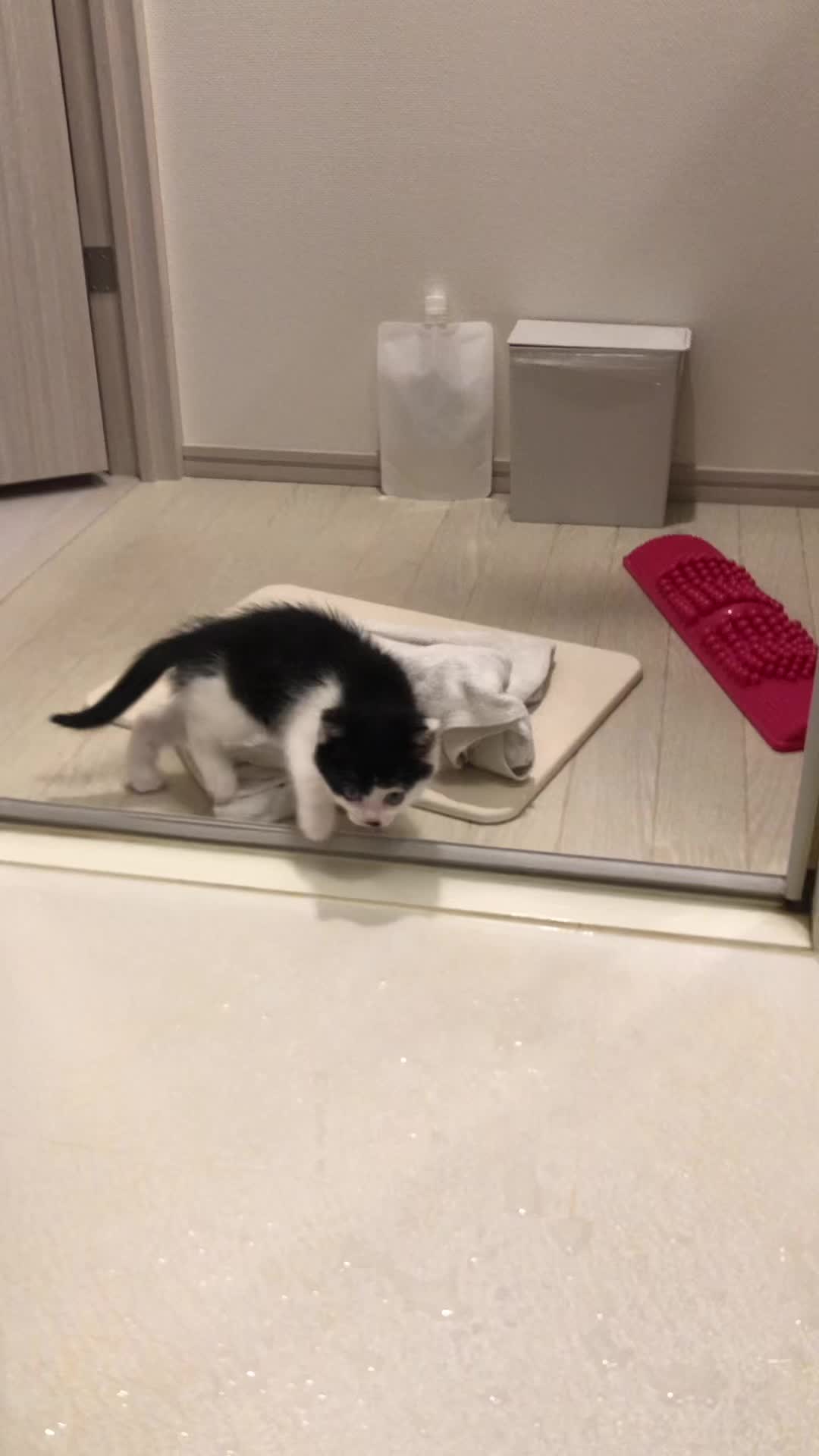 Club Lotta日記945129