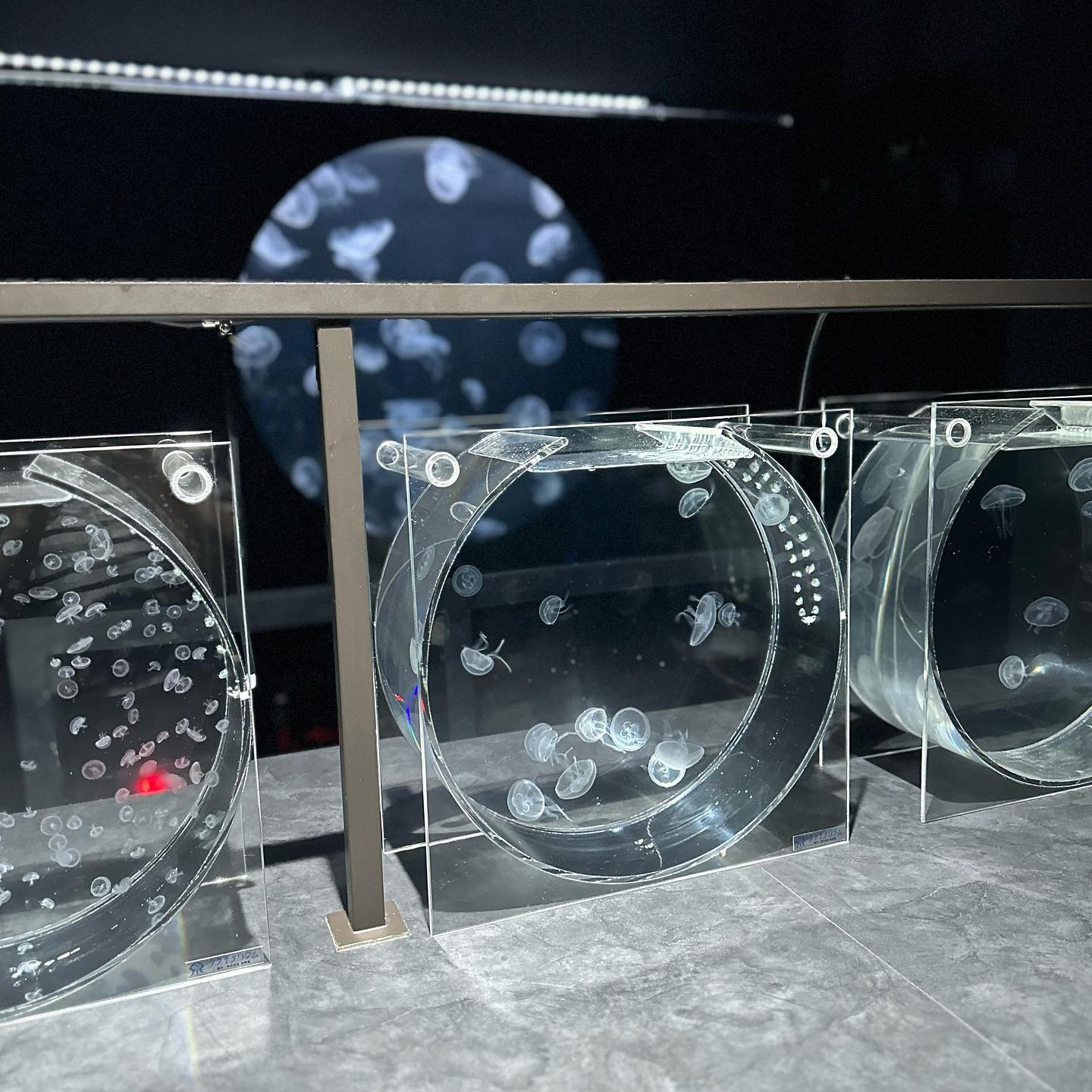 札幌に新しく出来た水族館🪼
ペンギンみながら飲めた🐧♡
.
.
#北海道旅行 #北海道観光 #北海道観光 #札幌グルメ #札幌観光 #札幌インスタ映え #狸小路グルメ #可愛い女の子 #札幌キャバクラ #すすきのキャバ嬢 #キャバ嬢 #同伴コーデ #水族館 #札幌水族館 #海コーデ