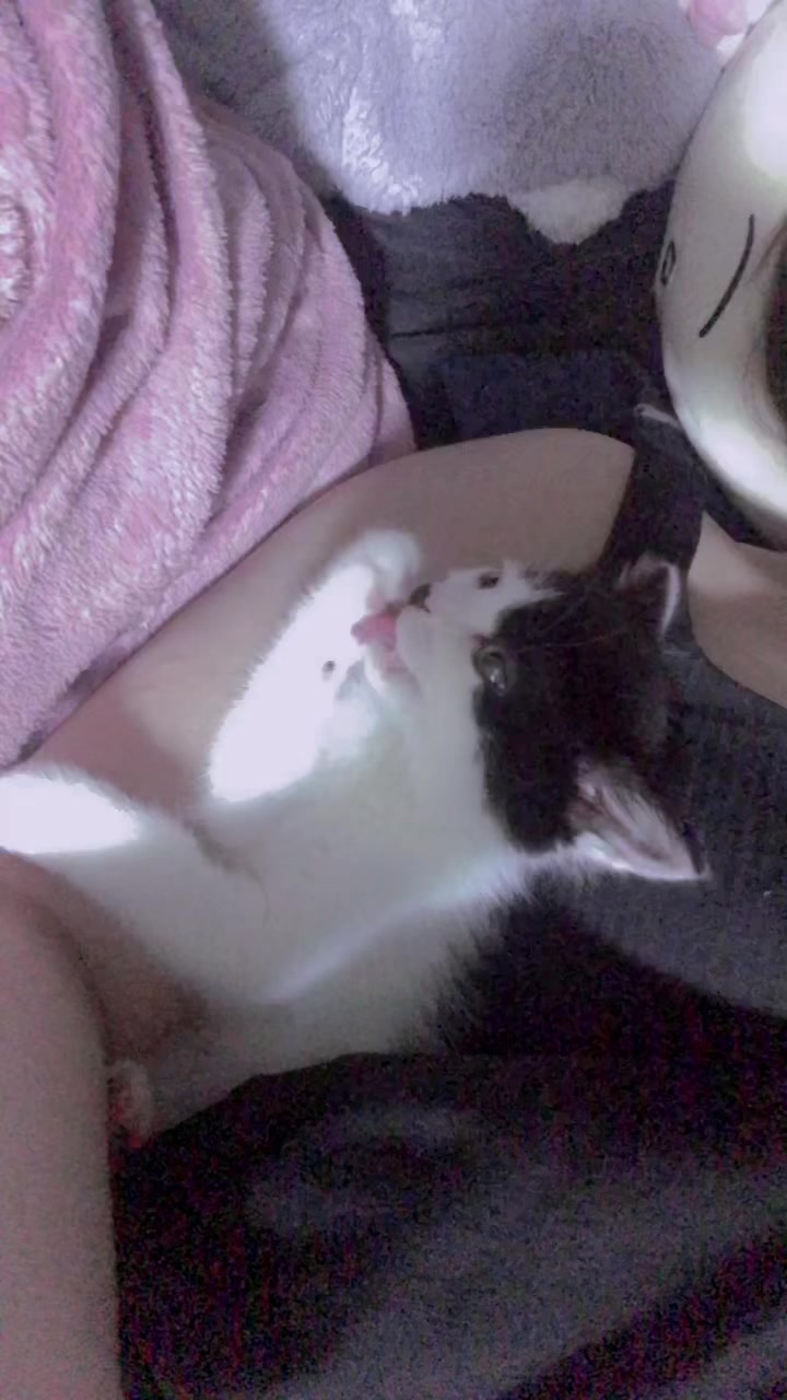 Club Lotta日記945864