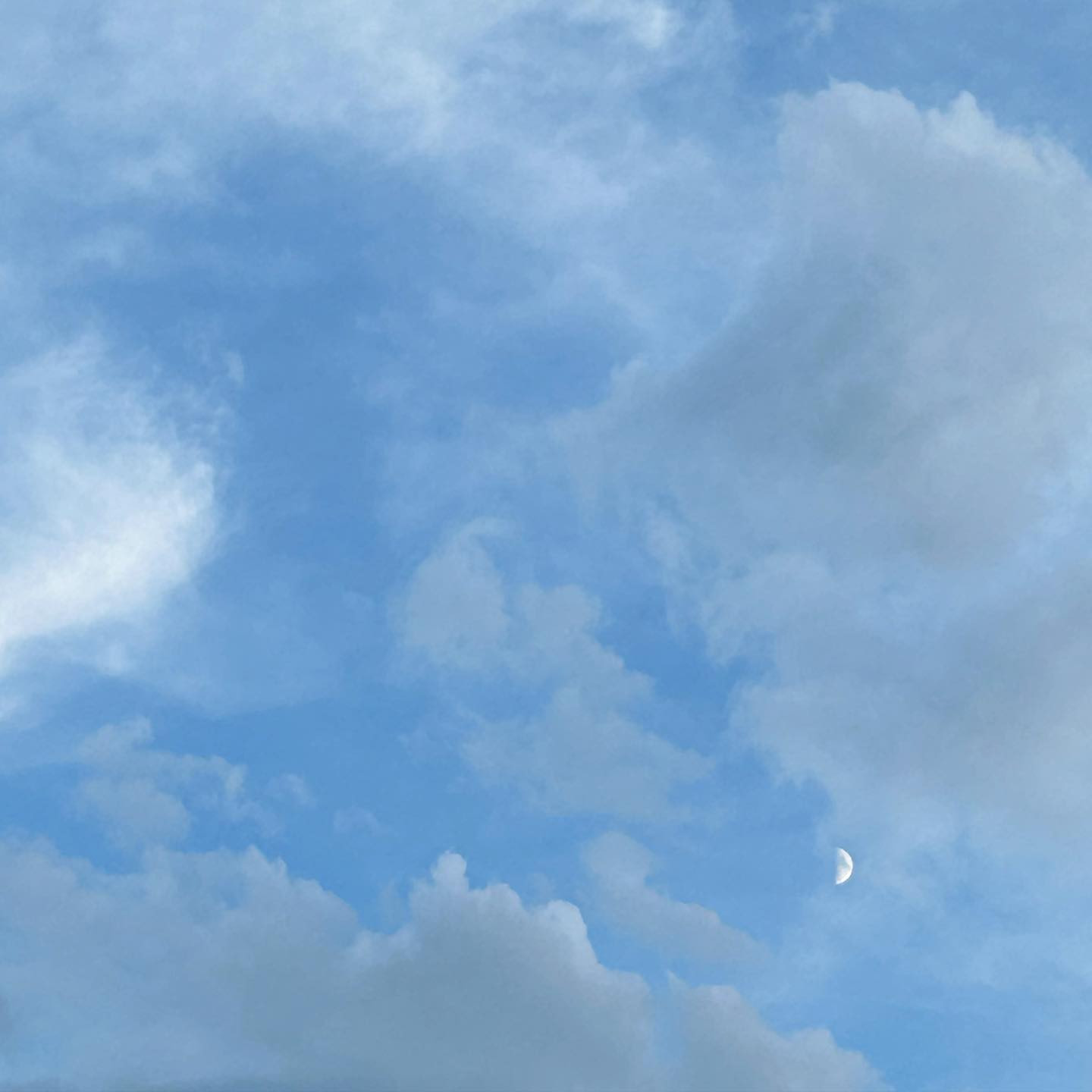  Instagramで記事を開く音ノ瀬 ...