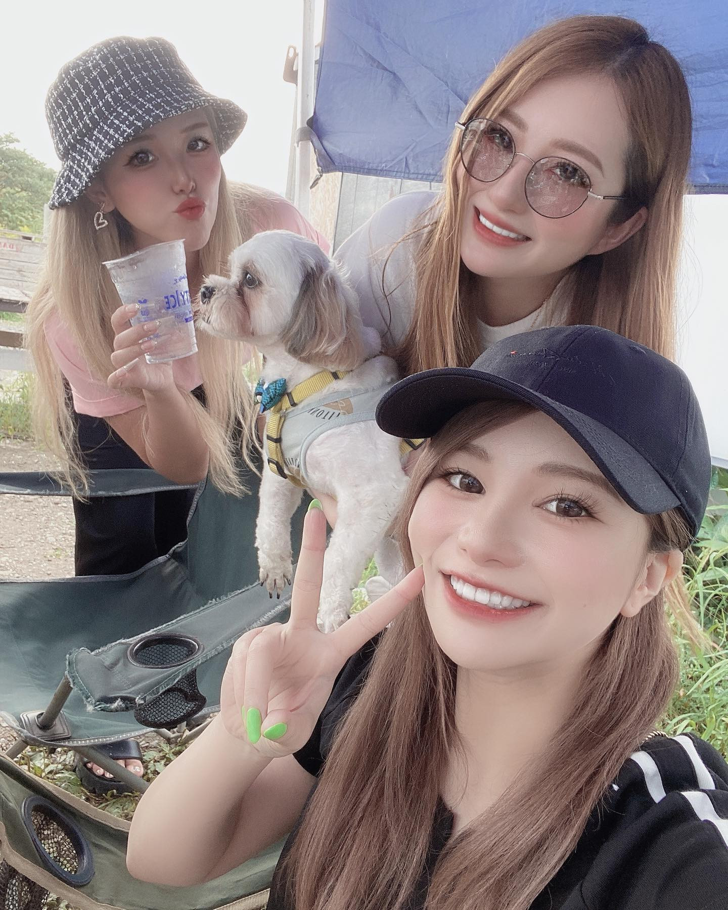 もこたろーとしょこたろーとりまたろー🐶💕