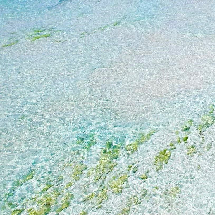 ③°･🐳

 #与論島 #プリシアリゾート  #プリシアリゾートヨロン  #プリシアリゾート与論  #百合ヶ浜 #与論ブルー #女子旅 #海好き #海大好き