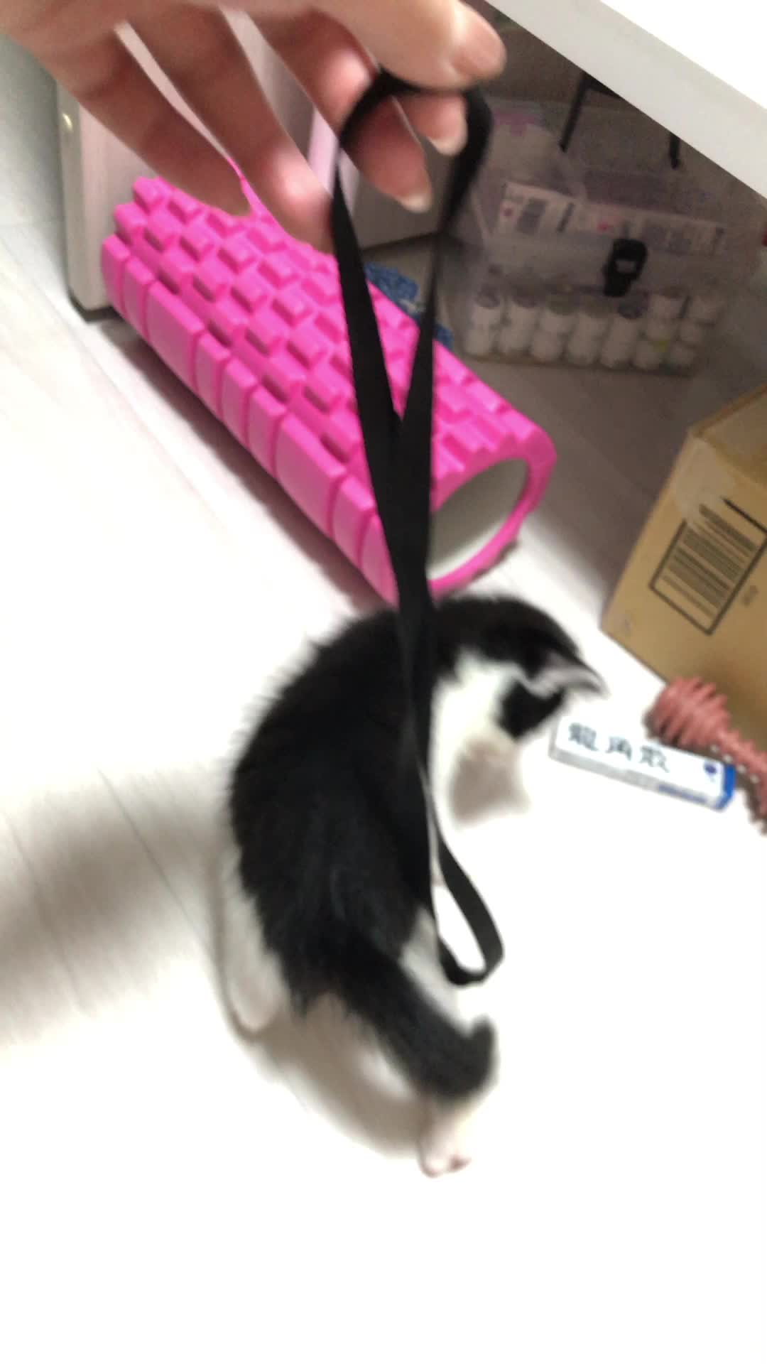 Club Lotta日記950154