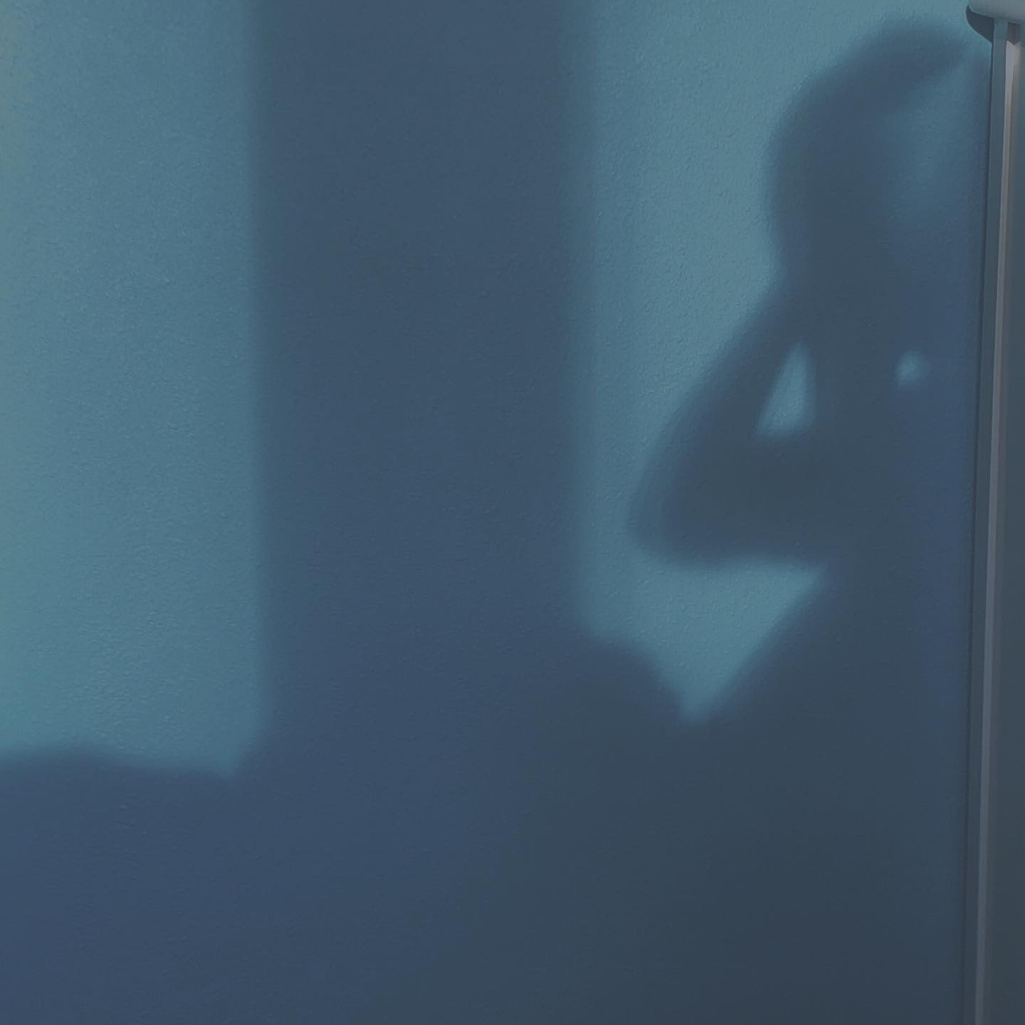  Instagramで記事を開く音ノ瀬 ...