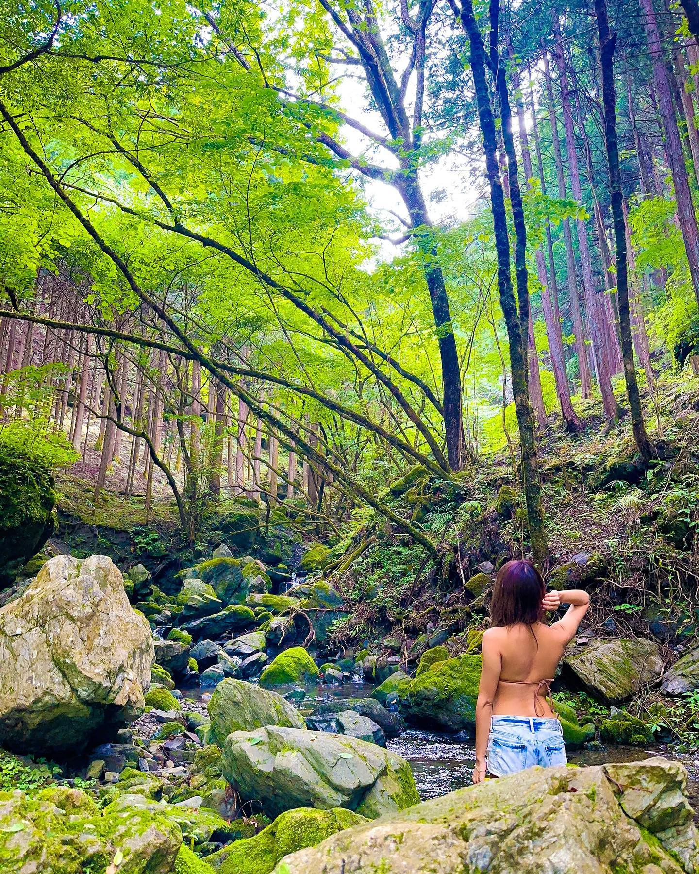 いつかジャングルから配信するのが夢🌿
都心から1時間半で森林の中にこもれる
埼玉県飯能市
白岩渓流園の動画を本日UP🌳🍃

今の新緑の時期がとにかく最高です💚
森の中で、渓流の側で、
自然と一体化できる時を楽しんで
みてはっ？☺️

YouTube▷▶▷はもにゃんで検索🤍

#白岩渓流園 #ソロキャンプ #キャンプ女子 #ソロキャンプ女子 #キャンチューバー #キャンプ場 #飯能 #飯能市 #埼玉 #埼玉観光 #森 #自然 #キャンプ #キャンプコーデ #キャンプ初心者 #キャンプ好きな人と繋がりたい #
