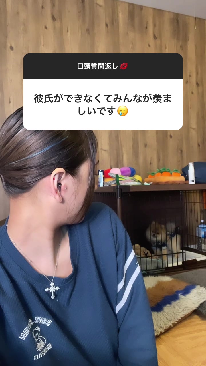 それに勝る趣味があれば人生充実しますよ。 #ポメラニアン#ポメラニアンのいる生活#口頭質問返し#桜井野の花