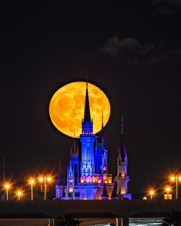 池袋 Red Shoes ホットニュース 63951