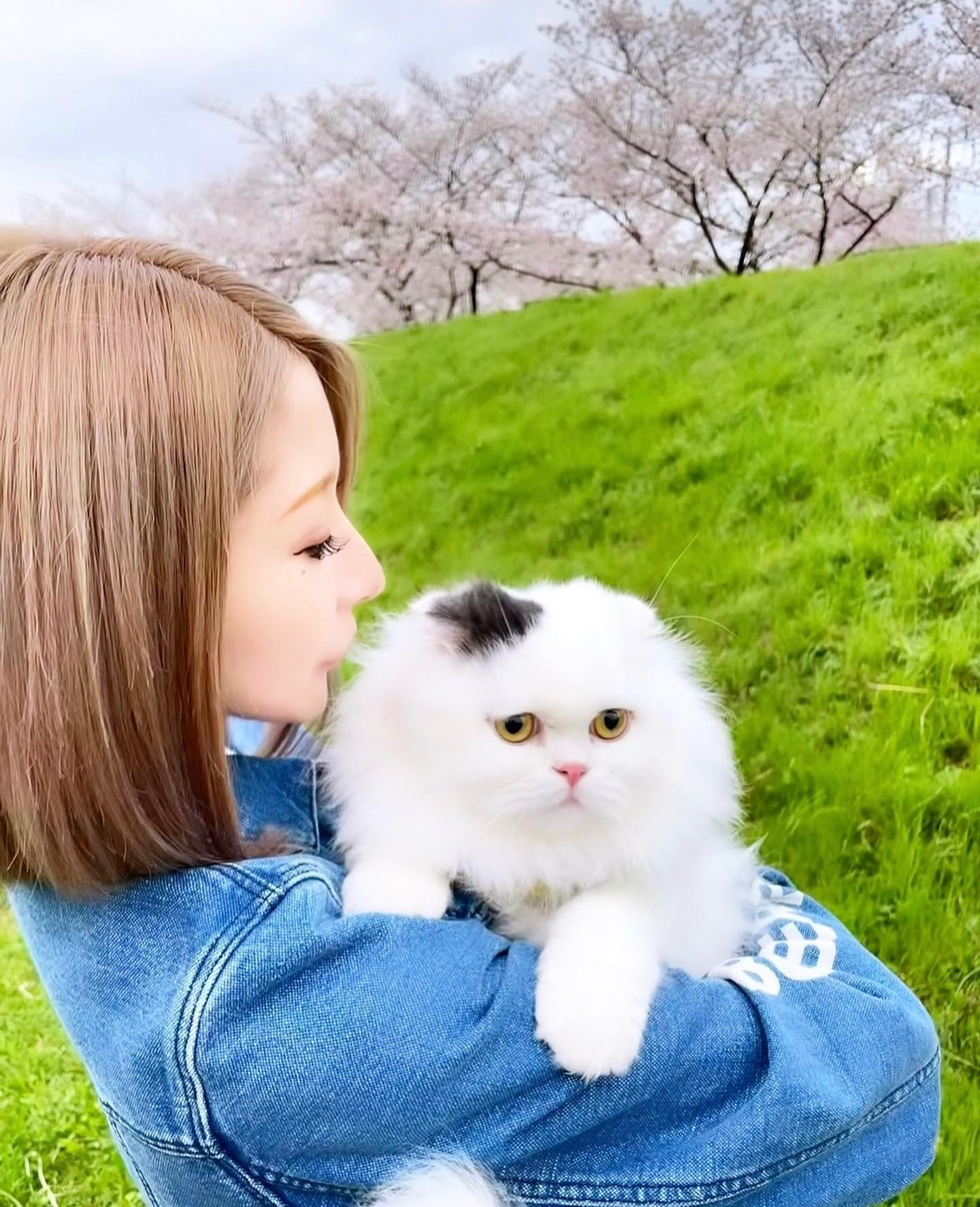 .
はっぴーせっと🤍🌸🤍