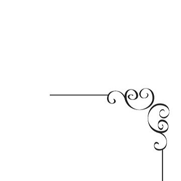 Bunny Base ホットニュース 64691