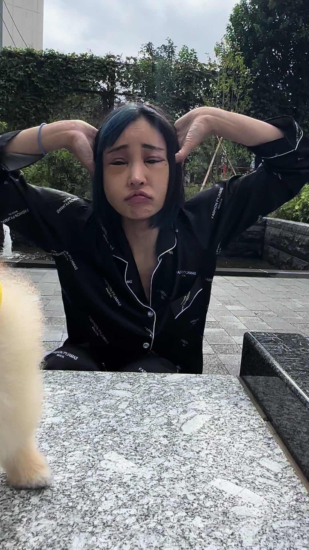 喜助君が特別出演してくれました🐶✨ #我姓石 #dance #ポメラニアン #整形 #ダウンタイム #骨切り#ノーマルカメラ #桜井野の花 #歌舞伎町 #キャバ嬢 #キャバクラ