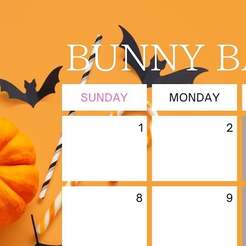 Bunny Base ホットニュース 65122