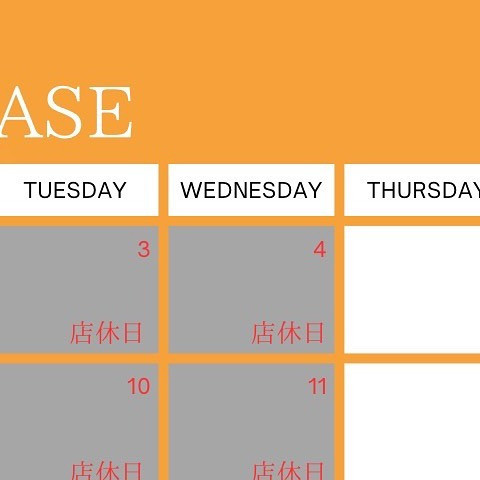 Bunny Base ホットニュース 65123