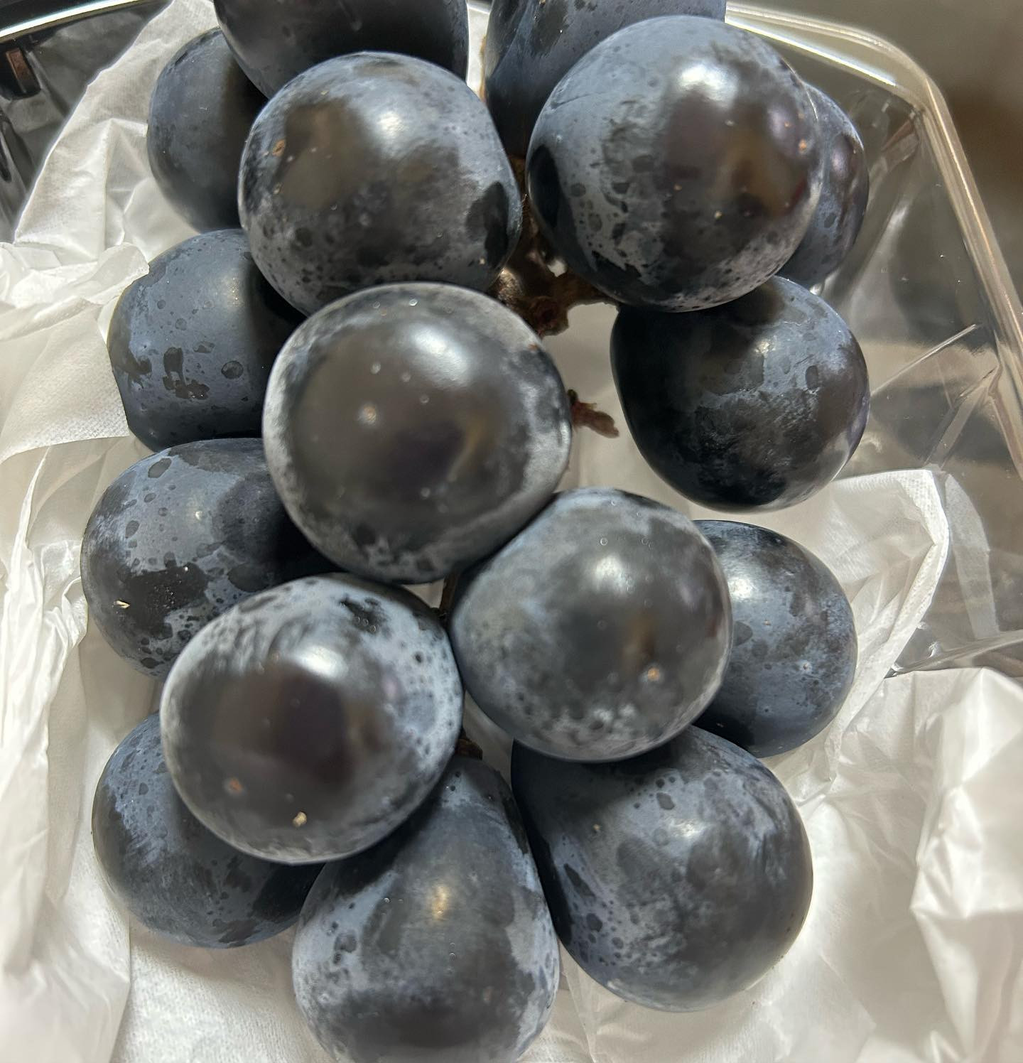 池袋 Red Shoes ホットニュース 65254