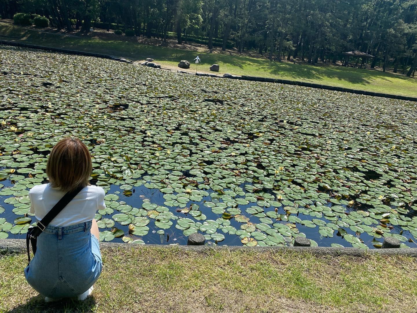 はるかBirthday月間最終日♡

#すすきの #シャチグループ #シャチスタ #赤門倶楽部 #椿姫なみ #キャバ嬢 #キャバクラ #すすきのキャバクラ #歌舞伎町 #六本木 #銀座 #中洲 #北新地 #水商売 #バイト募集中 #求人 #アルバイト #高収入 #夜職 #キャスト募集 #体入 #採用 #女子大生 #経営者 #ベンチャー企業 #ガールズバー #ポケパラ #美容 #オシャレ #可愛い女の子